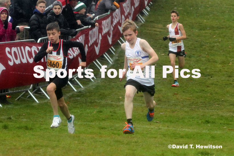 Boys under-13s, National Cross Country Relay Champs., Berry Hill Park, Mansfield.  Photo: David T. Hewitson/Sports for All Pics